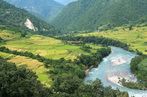 BHUTAN-Punakha-valley